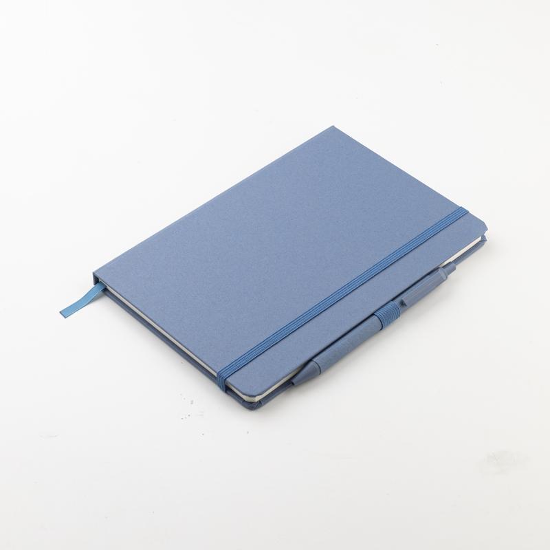 Nelson A5 hard cover notebook & pen set (15)