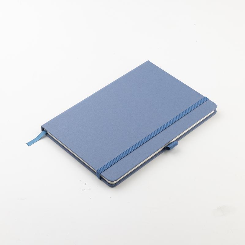 Nelson A5 hard cover notebook & pen set (16)