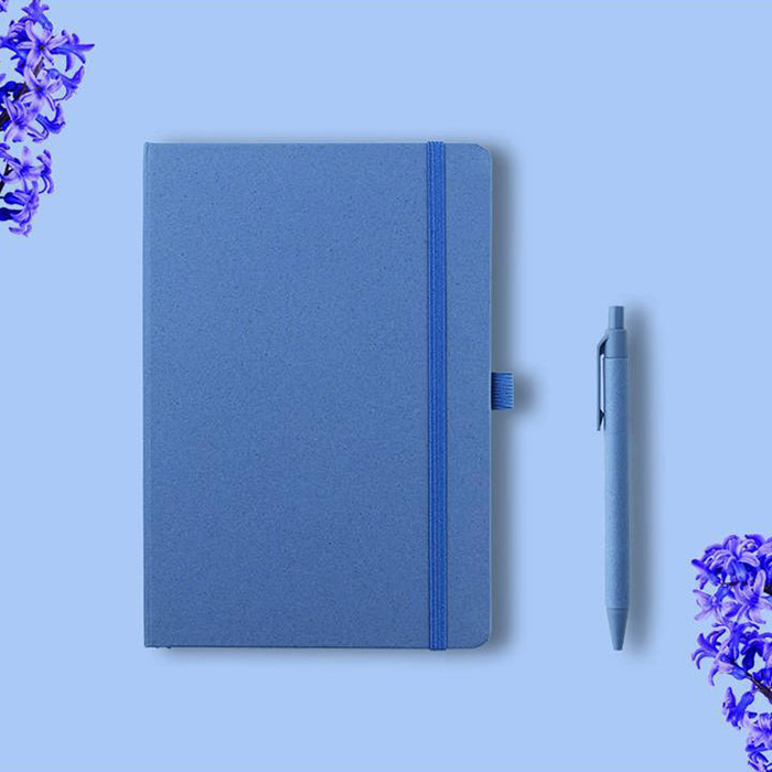 Nelson A5 hard cover notebook & pen set (17)