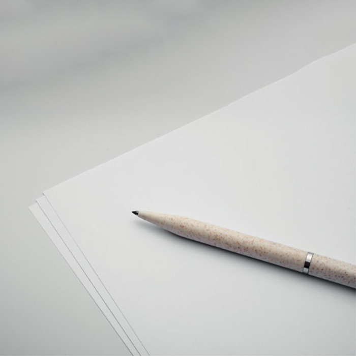 Theron Wheat strawABS twist pen set (8)