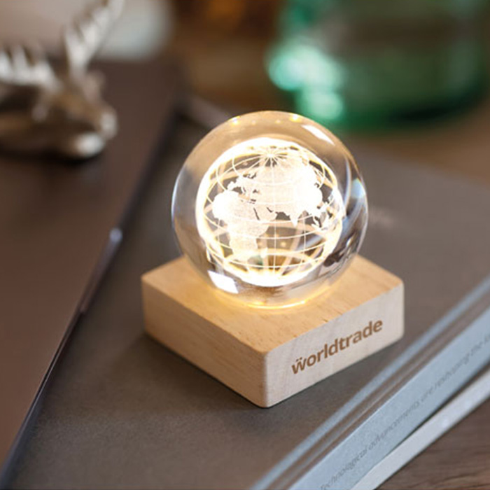 LED globe glass ball (4)