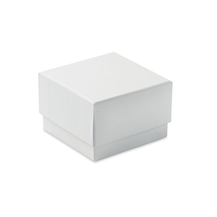 Mraz Glass cube award (3)