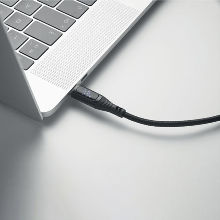 Richie 100W charging cable type-C (4)