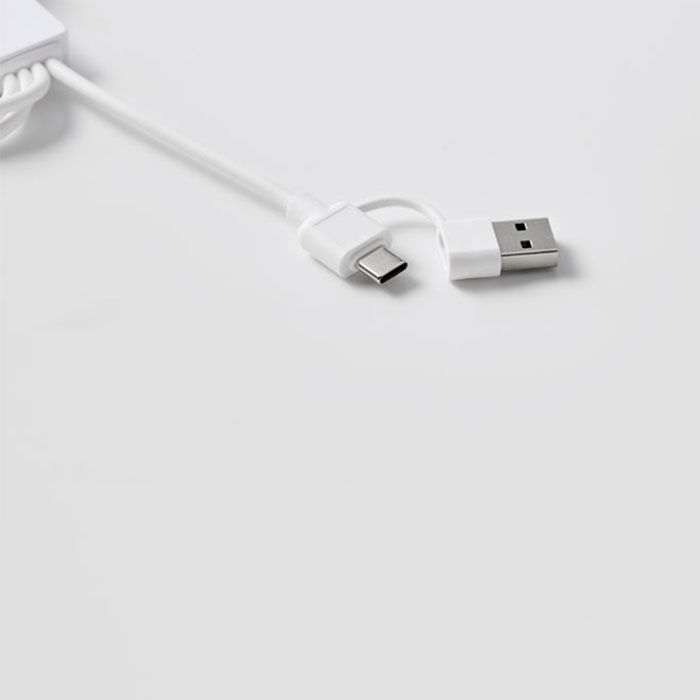 Rodney 2-in-1 charging cable type-C (2)