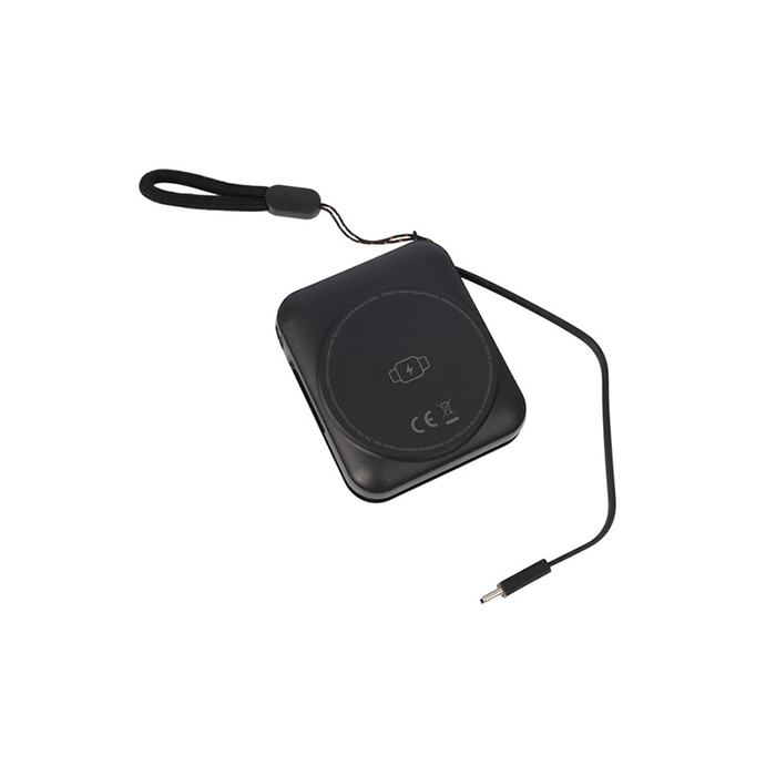 Lumbo 10,000 mAh power bank. (1)