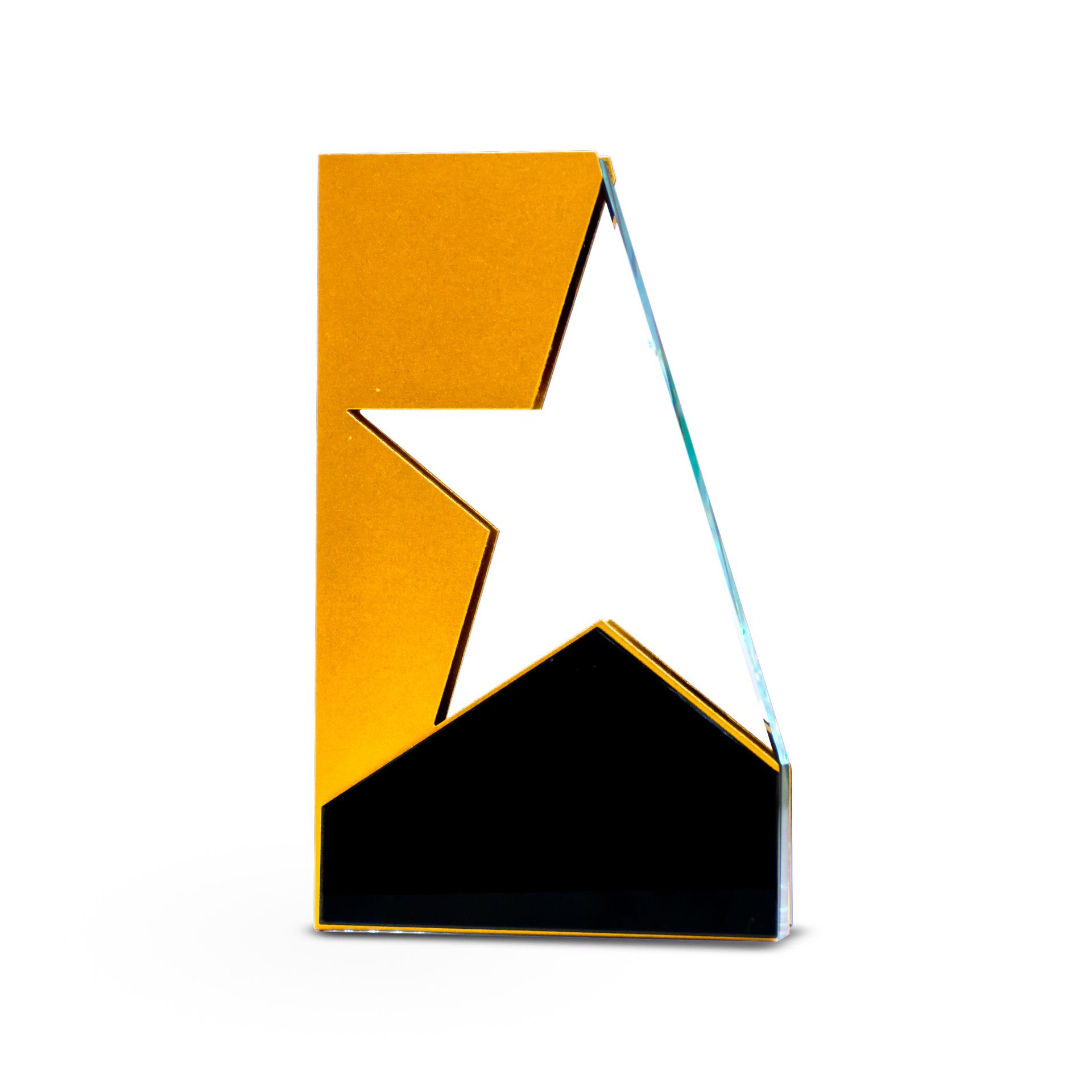 Mastery Star shape award trophy (3)